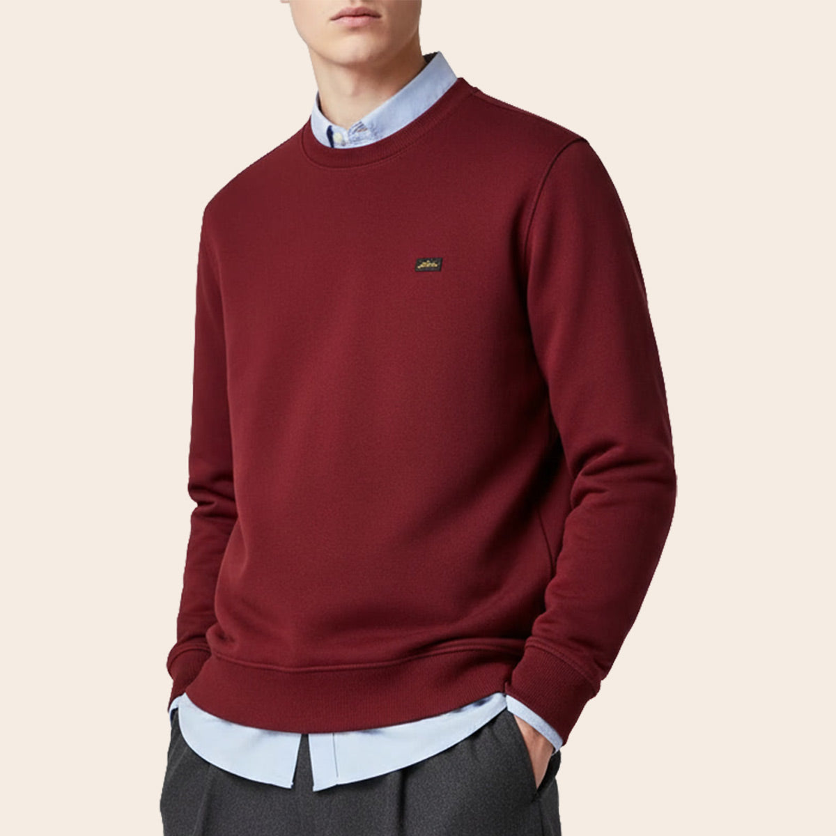 Men's Cotton Fleece Sweatshirt (FLBJ-2|FSL)