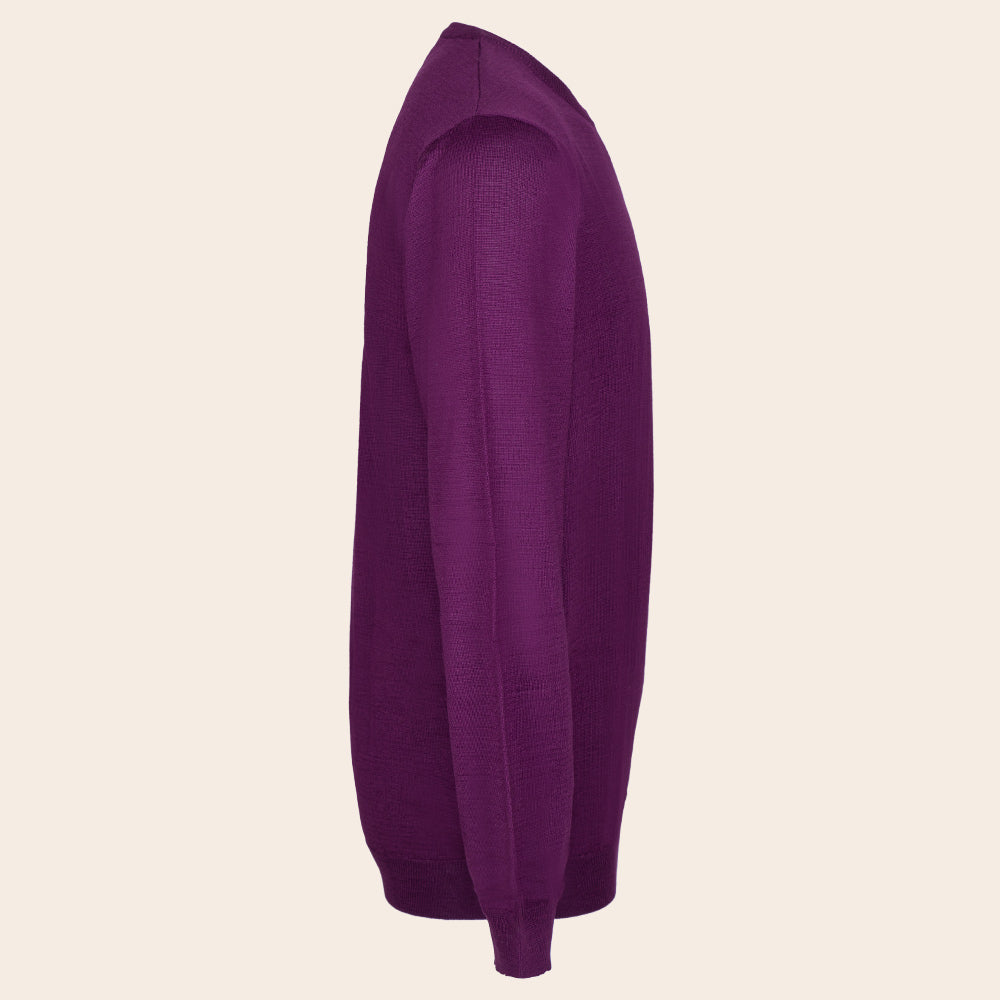 Men's Sweater (LY-9085|RNK/FSL)