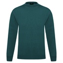 Men's Sweater (CN-173|RNK/FSL)