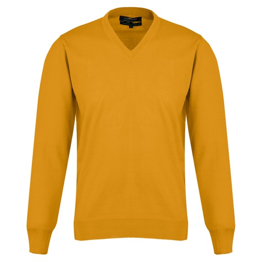 Men's Sweater (QW-058|FSL)